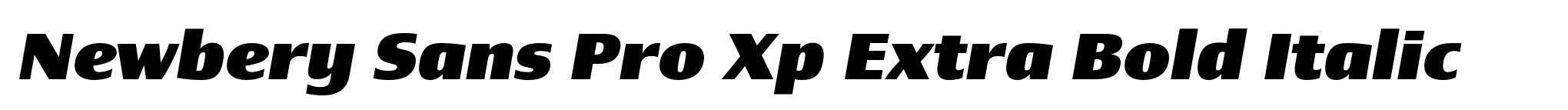 Newbery Sans Pro Xp Extra Bold Italic image